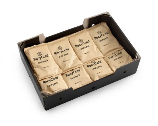 Recycold Eco kylmägeelipussi 100